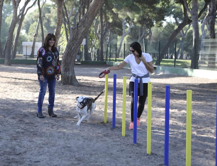 nous jocs per a gossos en les zones d_esplai del Pinar i Sensal (2).jpg