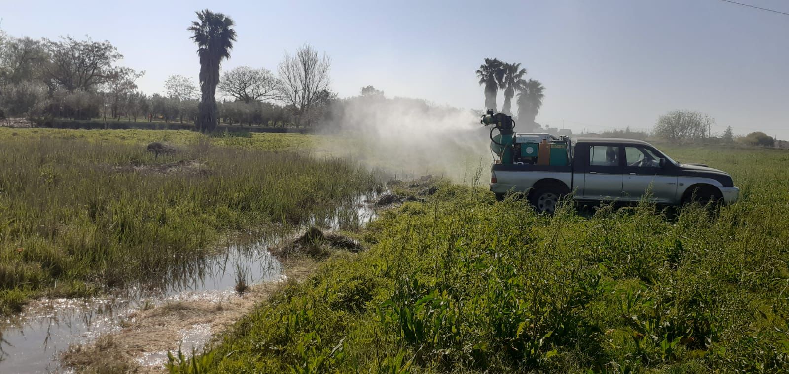 La concejalía de Salud Pública impulsa la colaboración ciudadana en el control de los mosquitos mientras sigue el refuerzo de los tratamientos contra las plagas