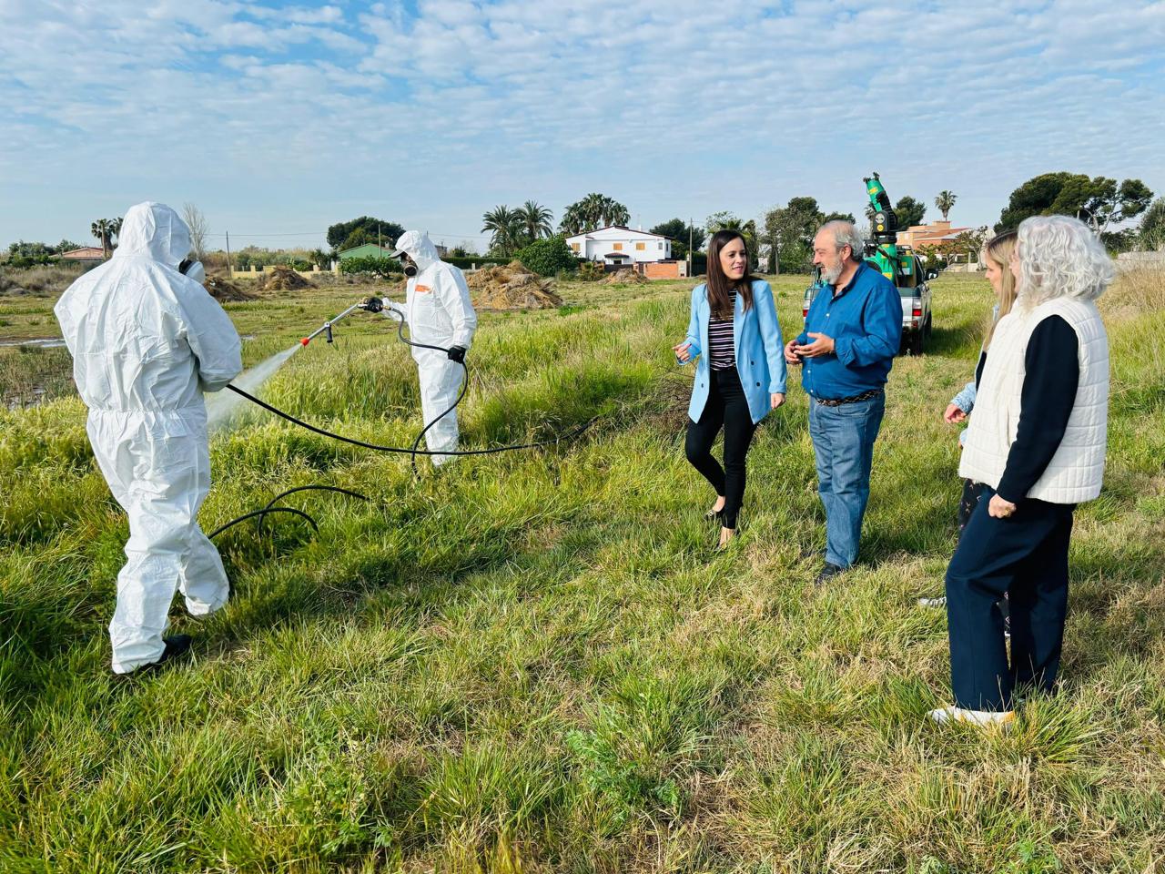 El govern municipal intensifica les labors de prevenció contra el mosquit tigre davant la possible arribada de la gota freda